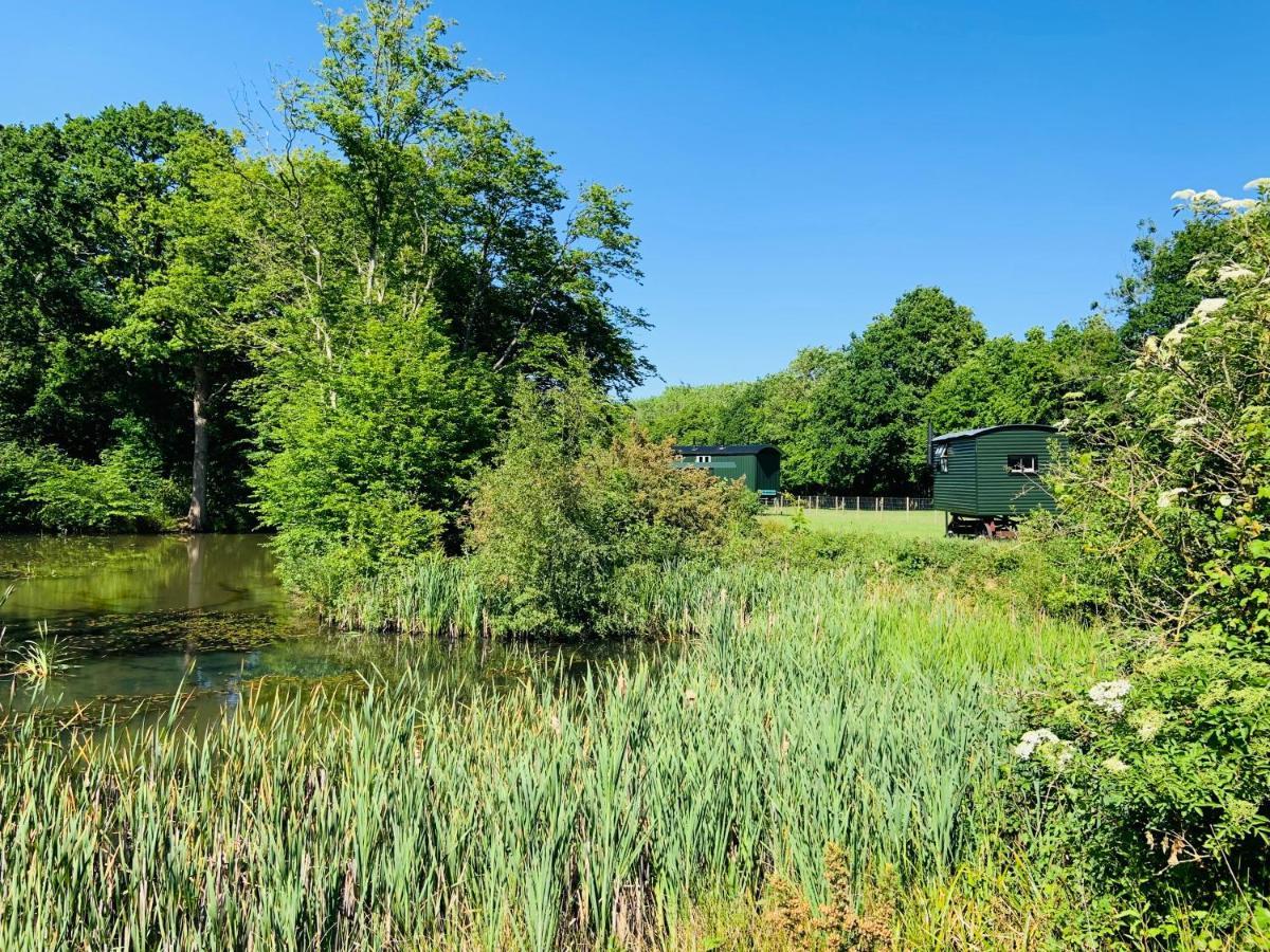 The Big Green Shepherds Hut Charlwood Екстер'єр фото