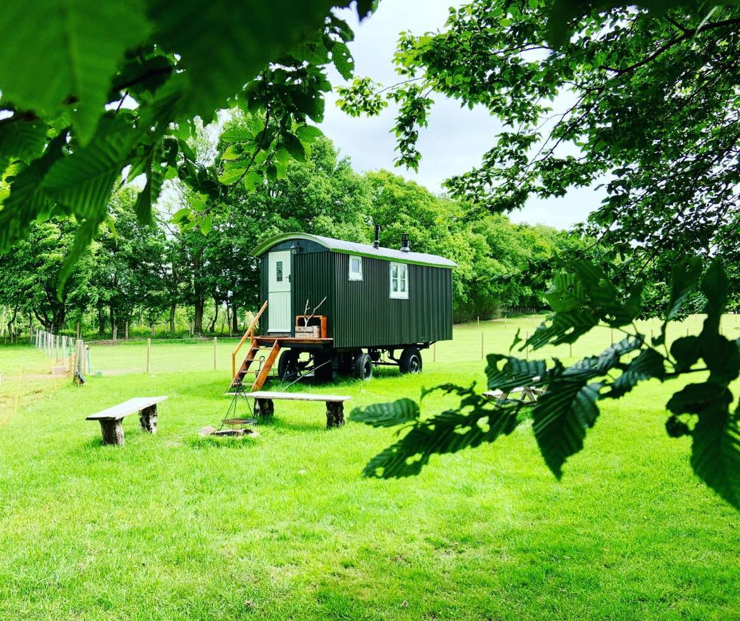 The Big Green Shepherds Hut Charlwood Екстер'єр фото